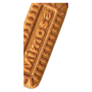 Mimosa ürünü